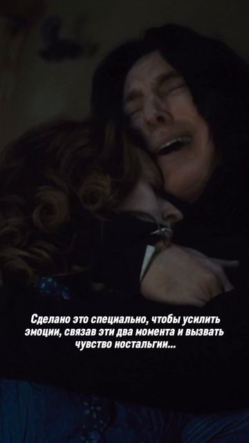 NELLA MUSICA ORCHESTRA «Гарри Поттер и Симфомультимедия»