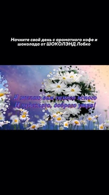 подарки, шоколад, игры на Wb