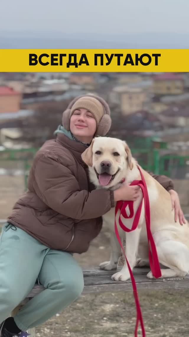 Почему их путают? 😁