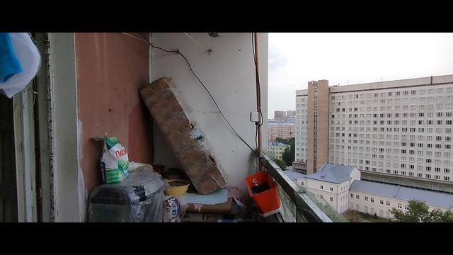 Погодные явления | 4-июл-2024, 2