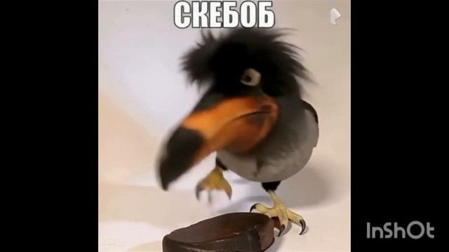 почему скебоб не танцует?