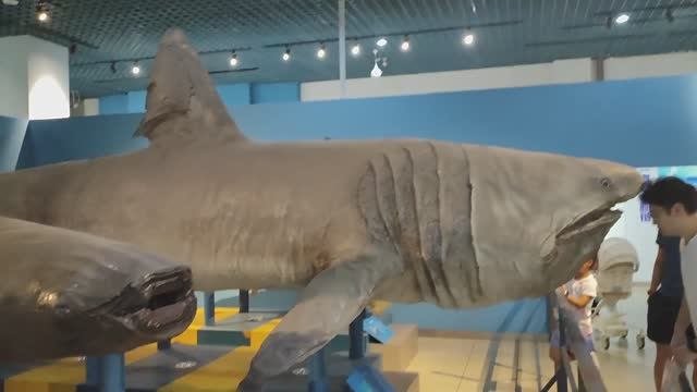 Далянь 3 музей