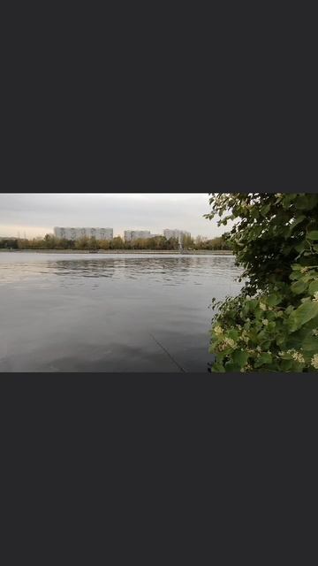 Топ проводка на джиг