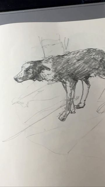 Девушка с собакой
#рисунок #блог #рисование #собака #девушка