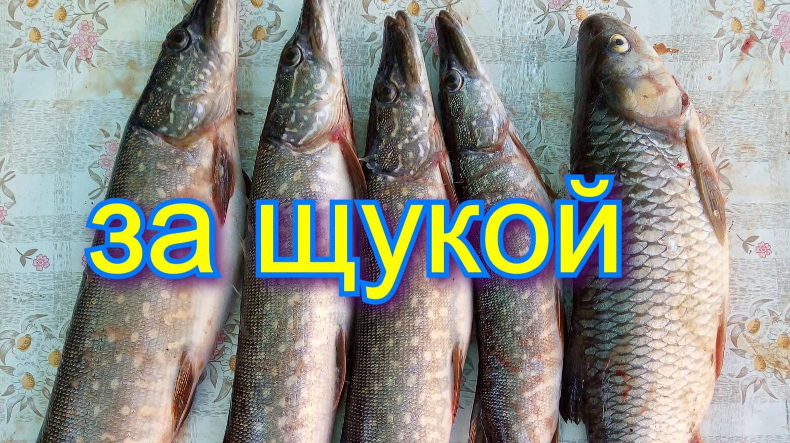 ОДНАЖДЫ НА РЫБАЛКЕ 25 ГОД