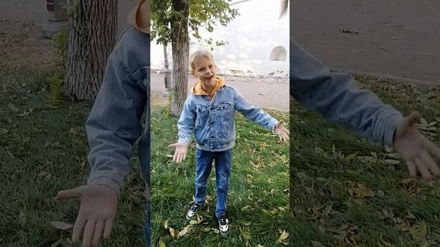 VID_20240929_165033.mp4