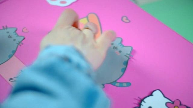 У КИСИ ДЕНЬ РОЖДЕНИЯ НЕОБЫЧНЫЙ ПОДАРОК БОКС ДЛЯ КОШКИ
