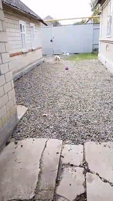 От мамы- всем по косточке вкусной .