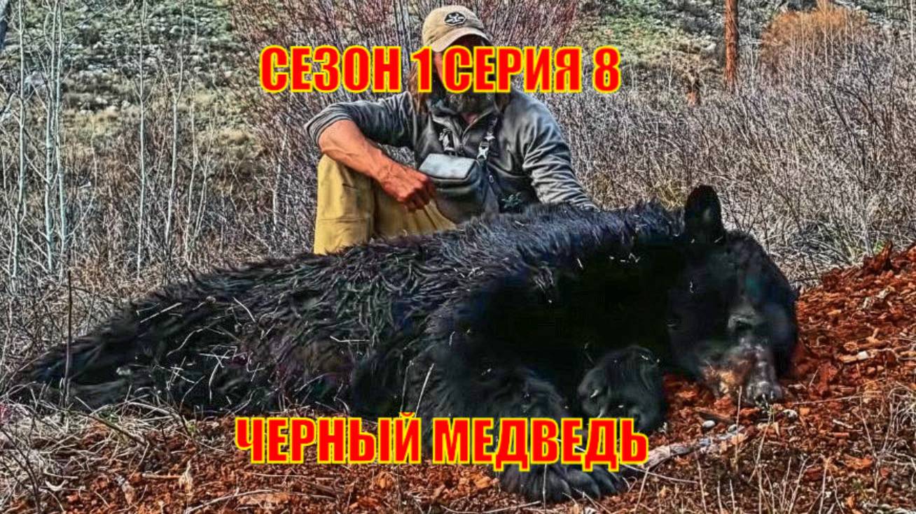 СЕЗОН 1 СЕРИЯ 8 ЧЕРНЫЙ МЕДВЕДЬ