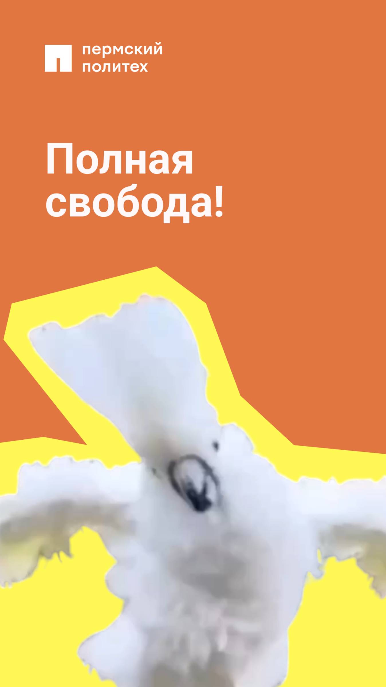 Настроение, когда впереди выходные!