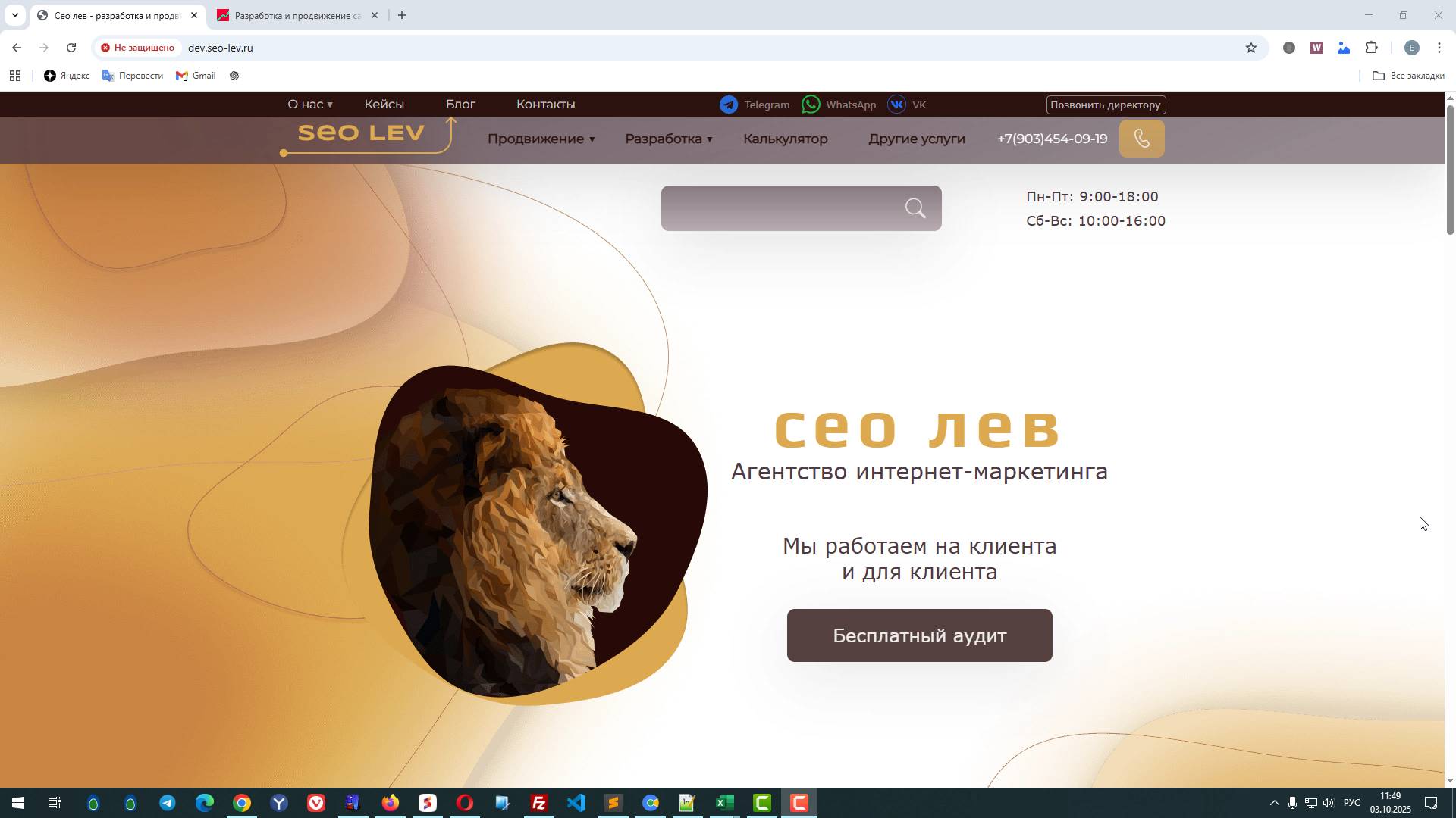 Реалити по продвижению сайта веб студии - часть-1