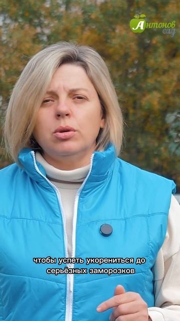 Что сажать под зиму?