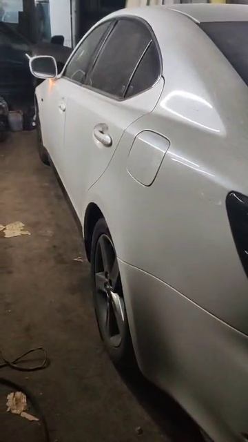 Лёха на антикоре