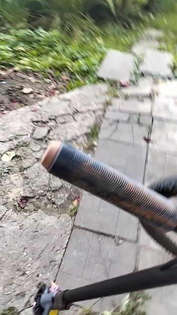1000019925.mp4