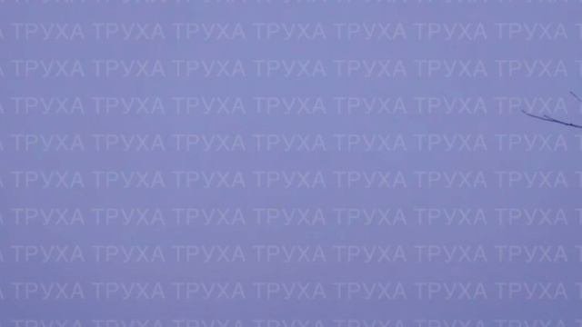 Звук пролёта крылатых ракет предположительно Х-59/ 69 сейчас над Сумской областью !!!