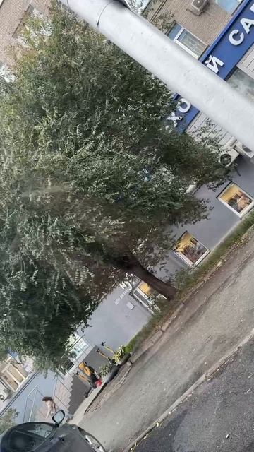 Снег в Новосибирске 3 октября