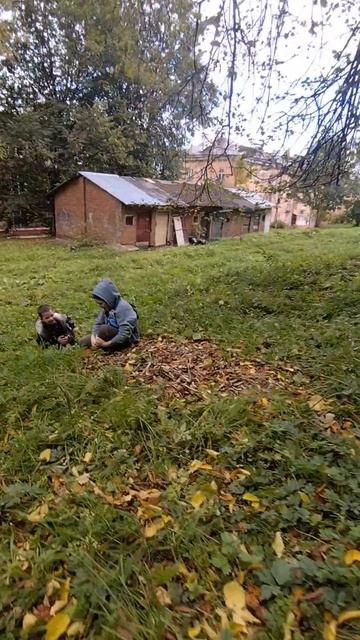 Сумасшедший лес