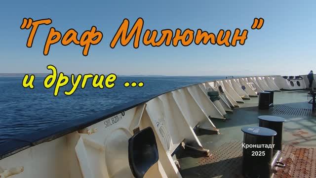 Рейд к форту Граф Милютин