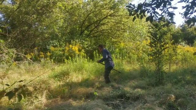 Альшанский сад