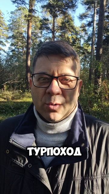Юность моя...