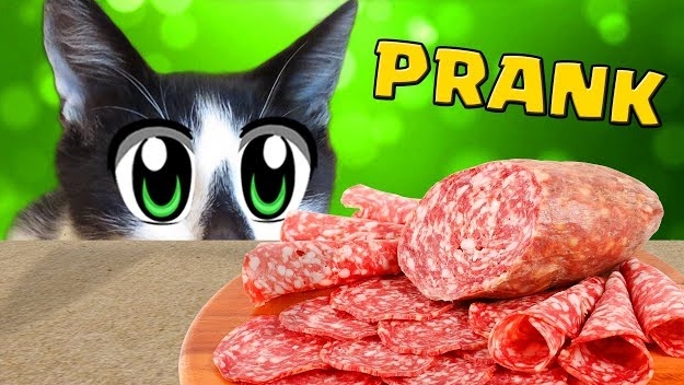 ПРАНКИ НАД КОТАМИ! КОТ МАЛЫШ И КОЛБАСКА! [2018]