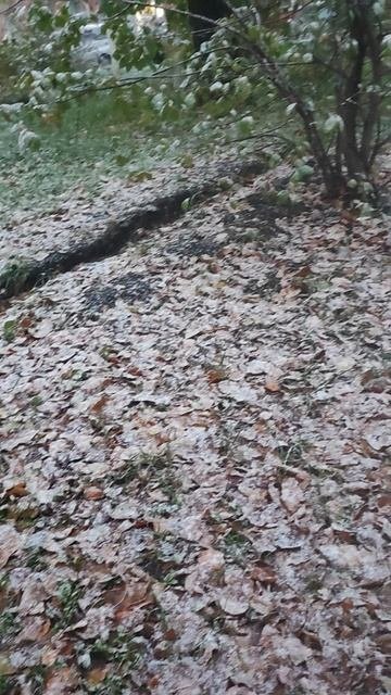 У нас выпал первый ❄ снег!