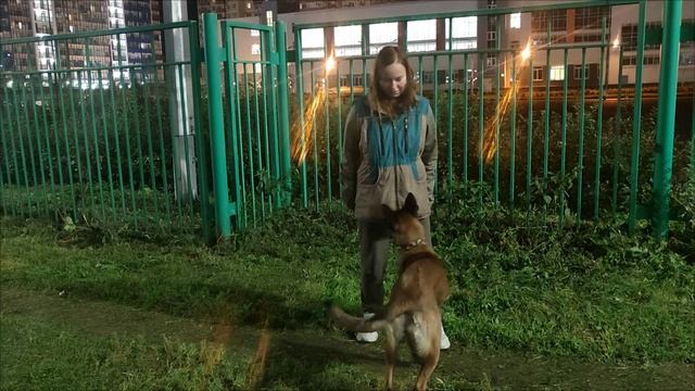Маркер