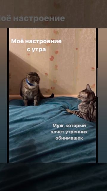 Доброе утро #доброеутро #благодарность