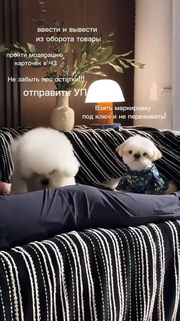 МАРКИРОВКА В ЧЗ #честныйзнак #маркетплейсыснуля #маркировкатоваров #товарыozon #маркировкаодежды