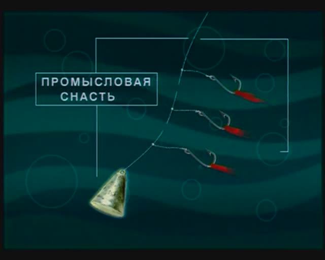 Какие снасти используют на Камчатке для ловли Однопёрого терпуга — Pleurogrammus Monopterygius ?