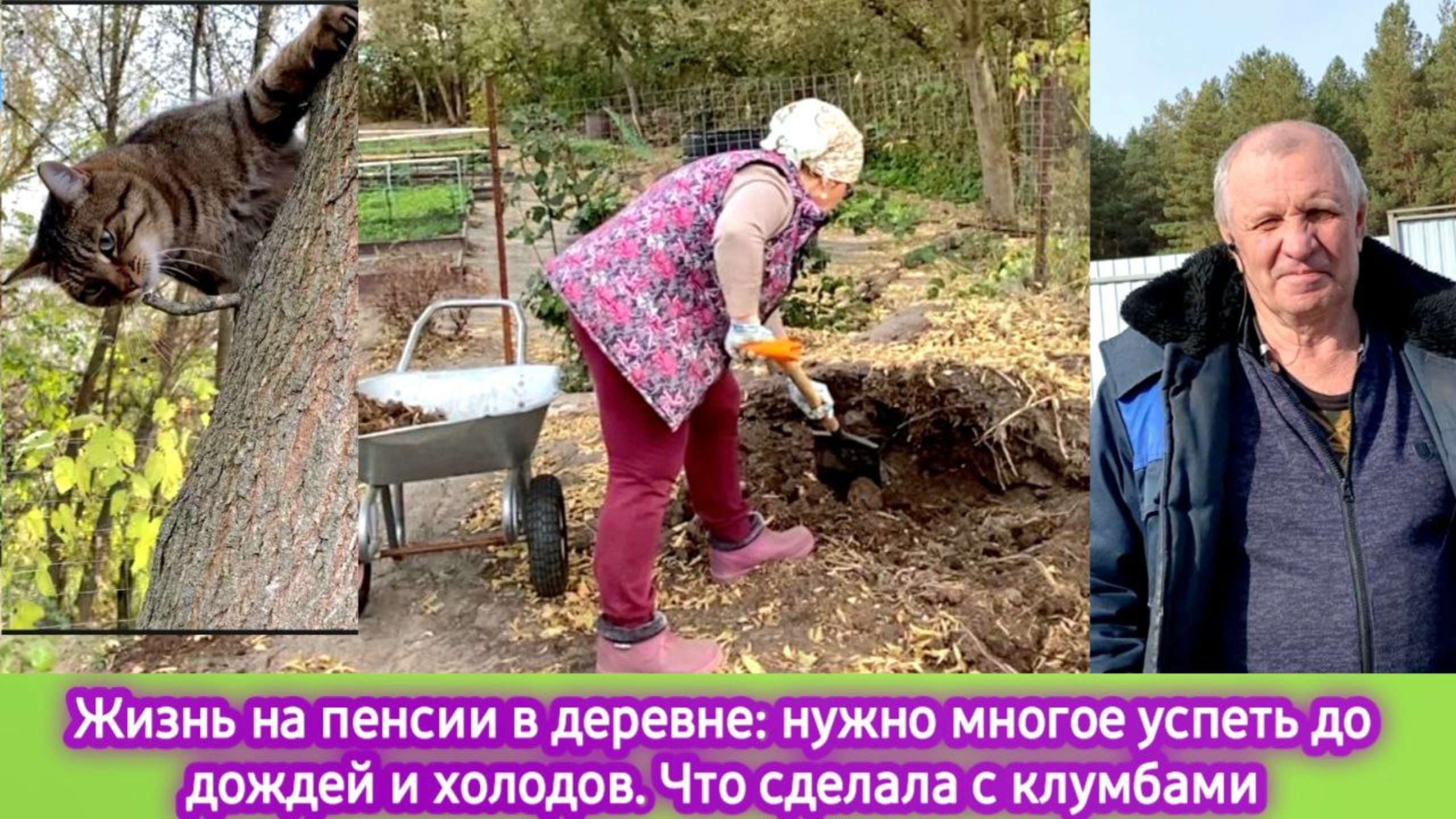 Жизнь на пенсии в деревне: нужно многое успеть до дождей и холодов. Что сделала с клумбами