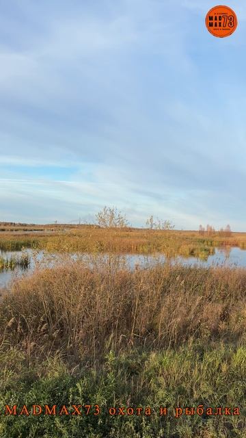 Новосибирск, путешествия продолжаются