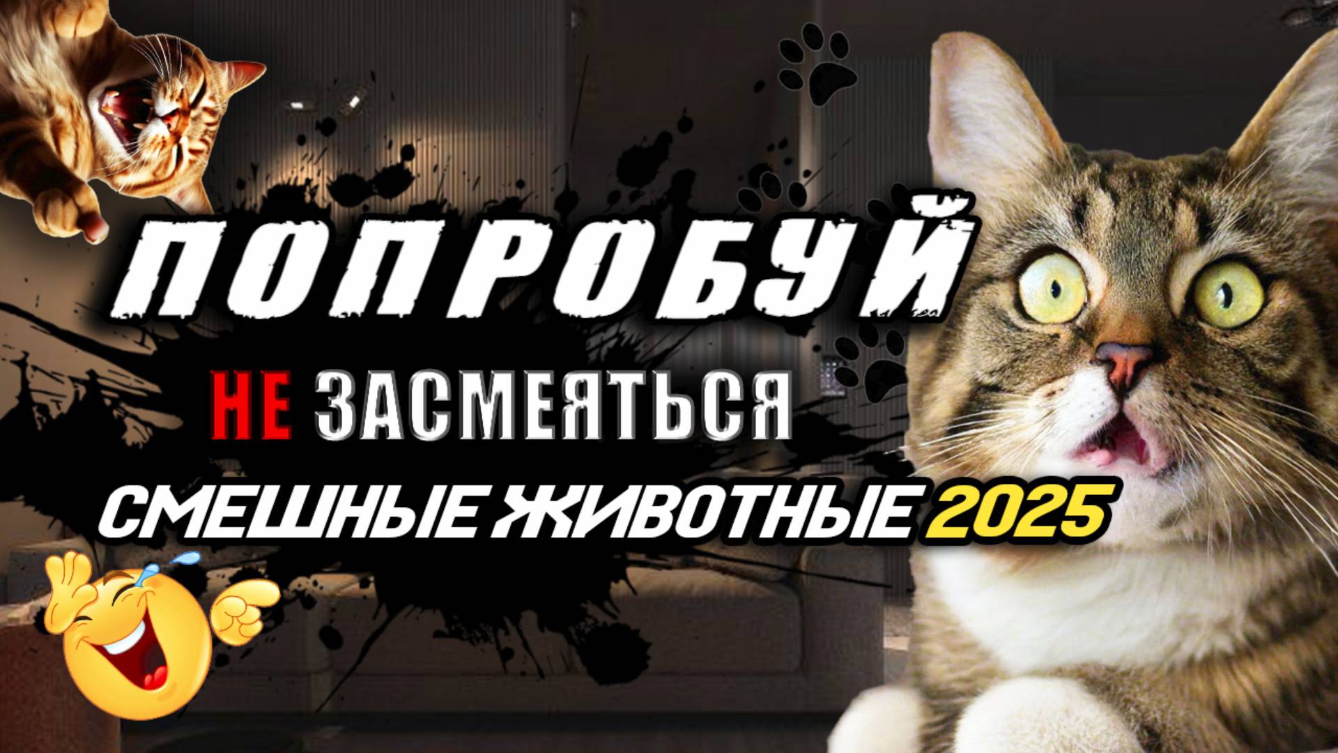 ПОПРОБУЙ НЕ ЗАСМЕЯТЬСЯ 😂 СМЕШНЫЕ КОТЫ 2025 🐱 3 МИНУТЫ СМЕХА 😱 ЛУЧШИЕ ПРИКОЛЫ 2025 С КОТАМИ #12