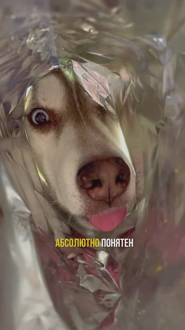 Аллергия от яйца, чипсов или арбуза?😳