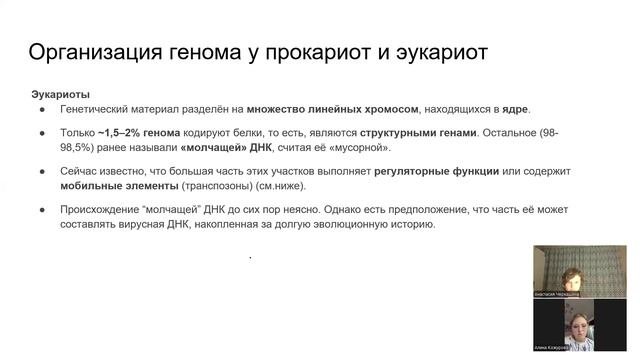 Трансляция и организация генома 03.10.25 (2)