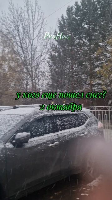 у кого тоже сегодня пошел снег?