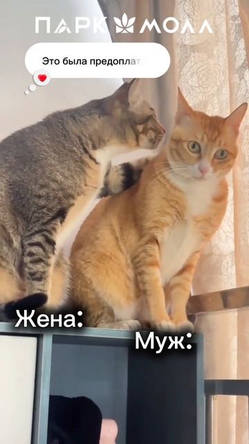 Покупка кухни