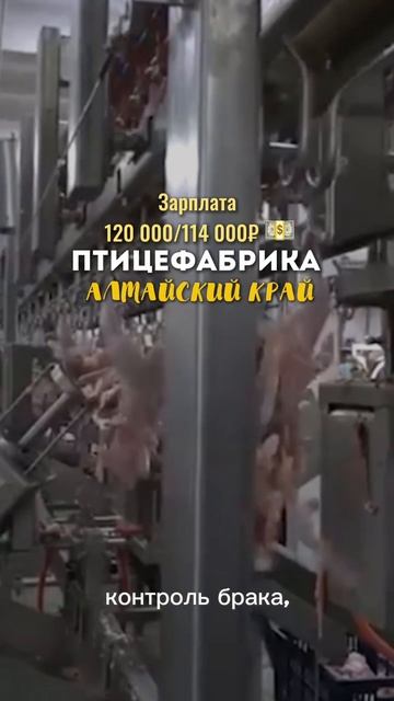 Заполняй анкету в шапке профиля!