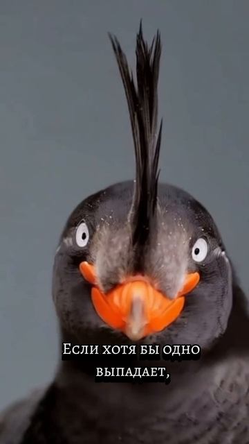 тенденции дня