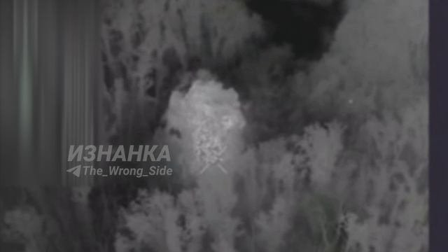 💥 Уничтожение 122-мм САУ 2С1 «Гвоздика» ВСУ FPV-дроном ВС РФ в районе н.п. Самборовка на Купянском