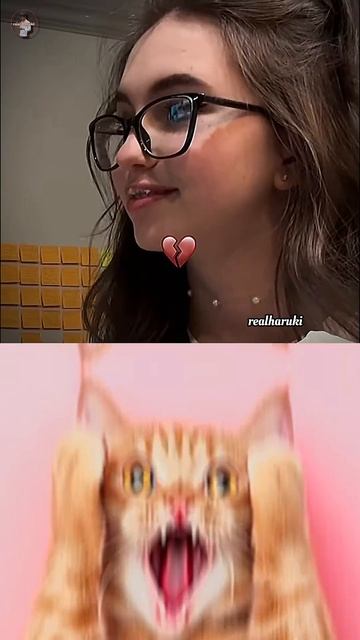 Fun 🤣 #cat #meme #tiktok #trending