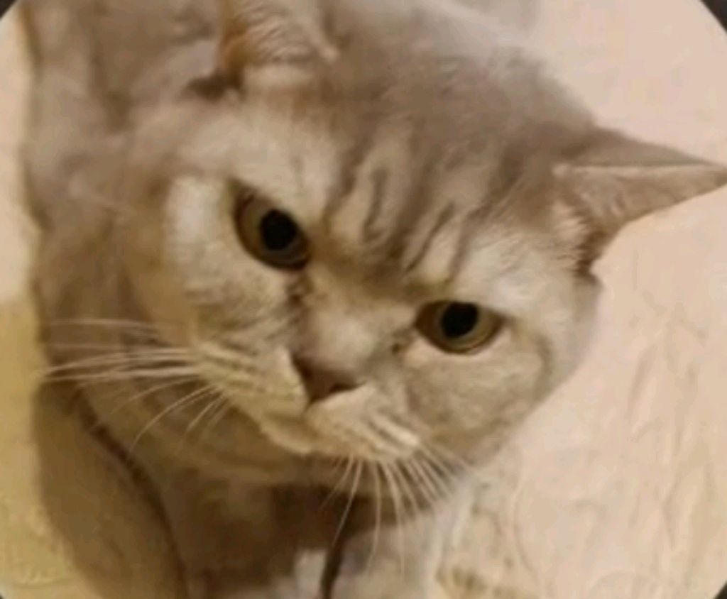 чя