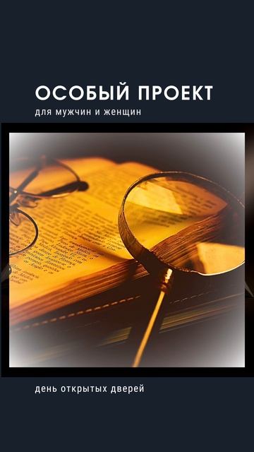 тг📲