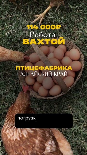 Заполняй анкету в шапке профиля!