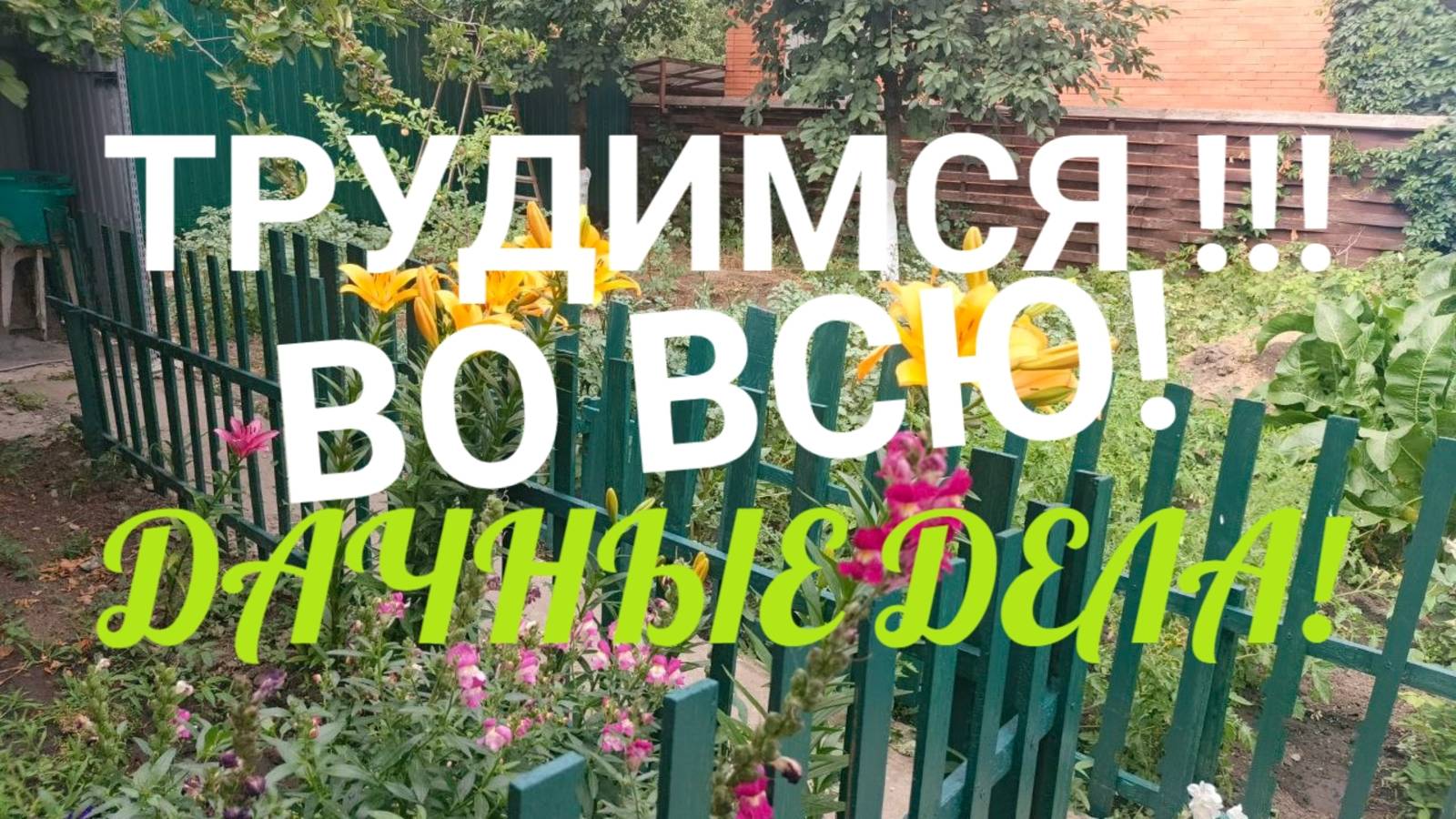 ТРУДИМСЯ ВО ВСЮ! ДАЧНЫЕ ДЕЛА! СТРОИМ ВЪЕЗД!