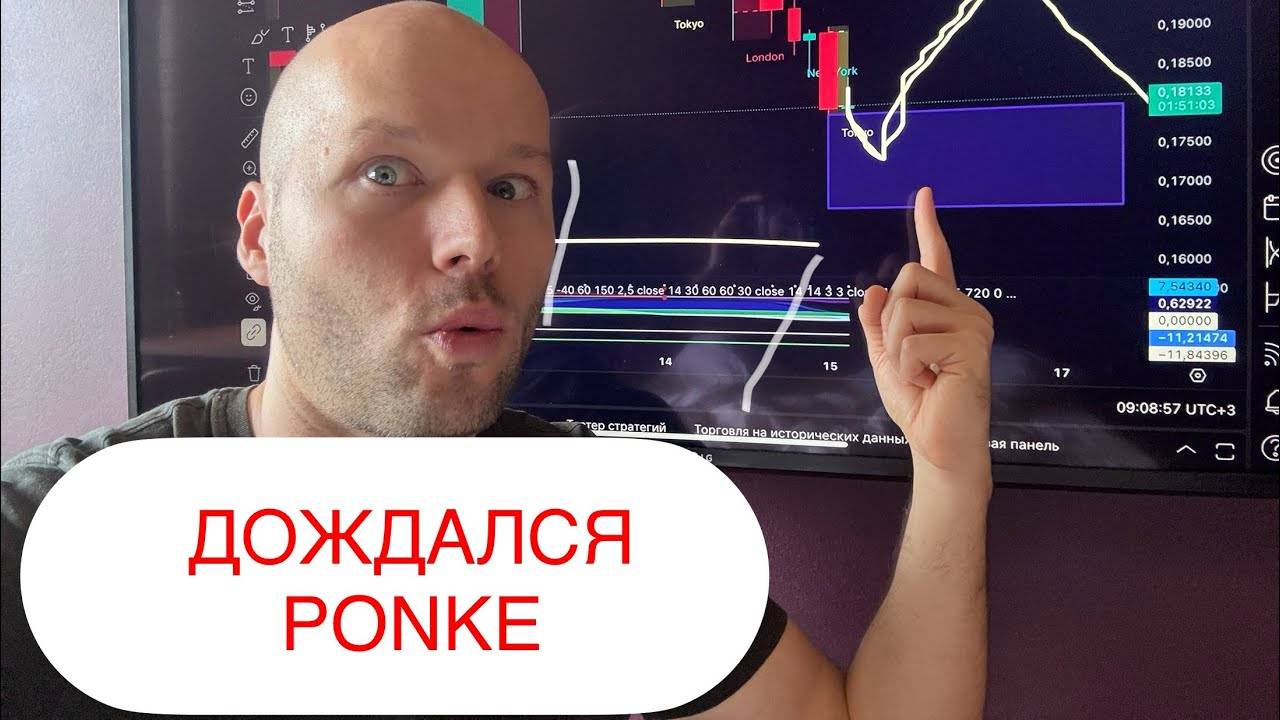 Почему Я Покупаю PONKE  И Где ПРАВИЛЬНО Покупать Крипту