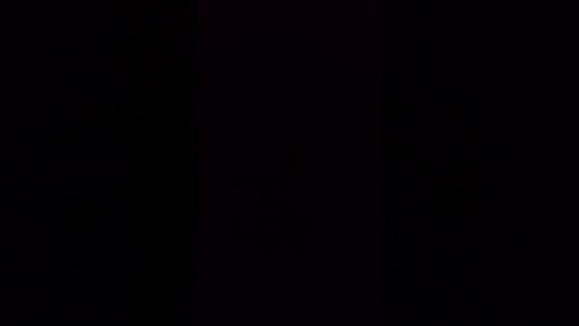 215.mp4