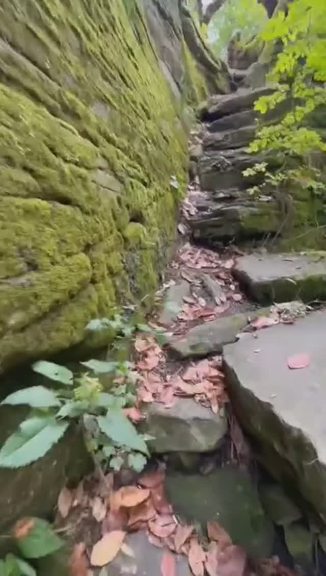 Лесо-Кафярь 28.09.2025