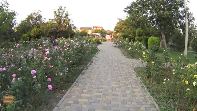 Анапа.Парк Ореховая роща
