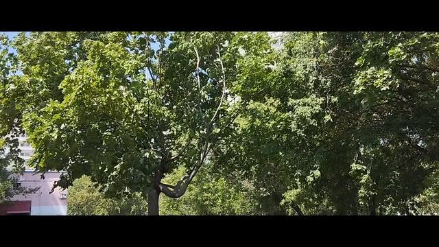 Погодные явления | 3-июл-2024, 4